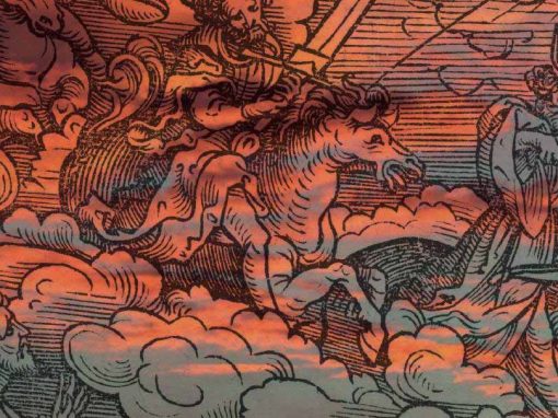 Scénographie « Le crépuscule des oiseaux – Vestiges d’un royaume »